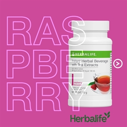 Hindbær Instant tea